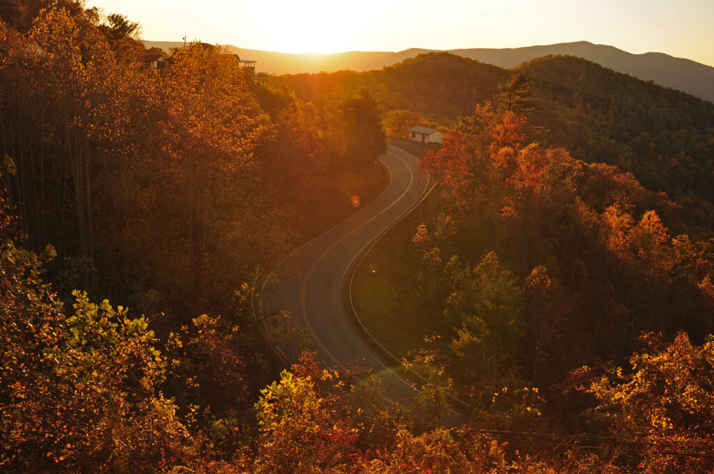 An empty road winds through forest scenery with fall colors.