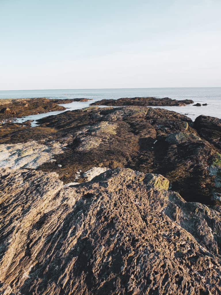 A rocky area with water in the background.