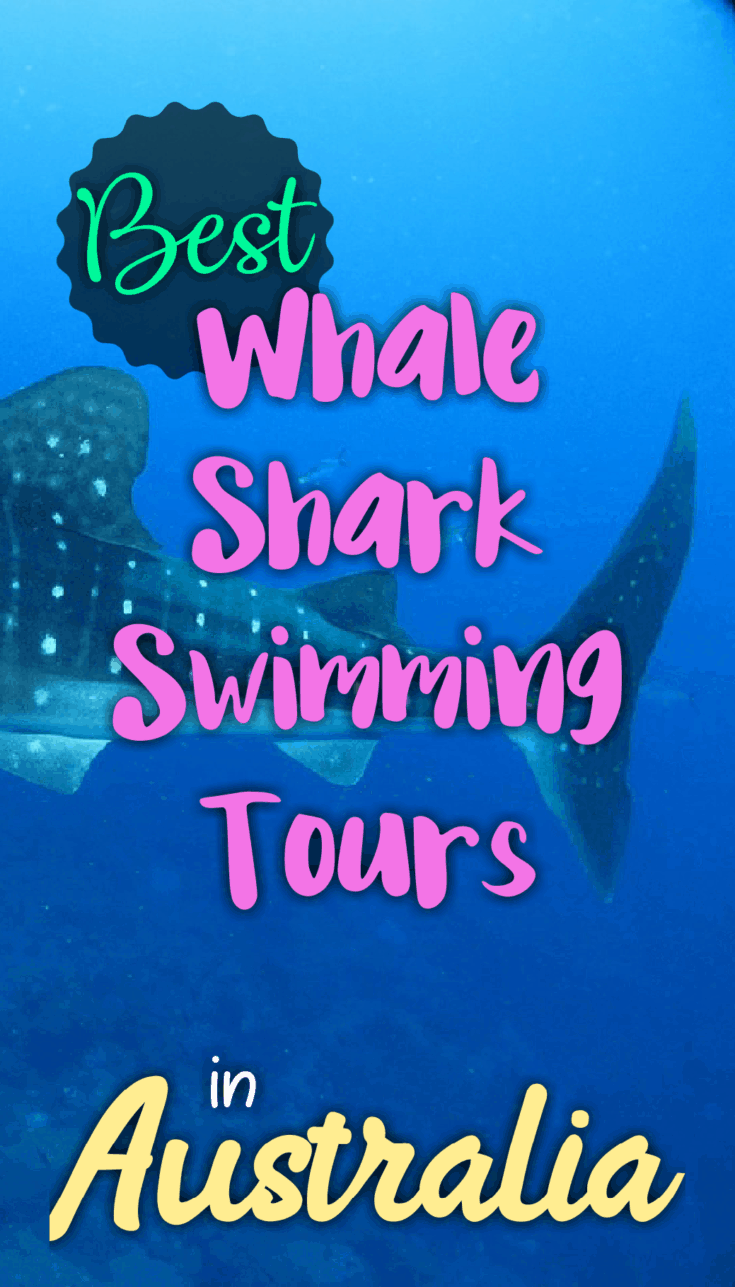 Swimming With Whale Sharks in Exmouth, Western Australia: A Guide to ...