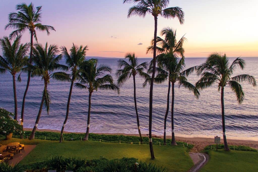 The ocean waves crash against the sand. Palm trees are in the foreground growing out of a green space. The sun sets overhead.