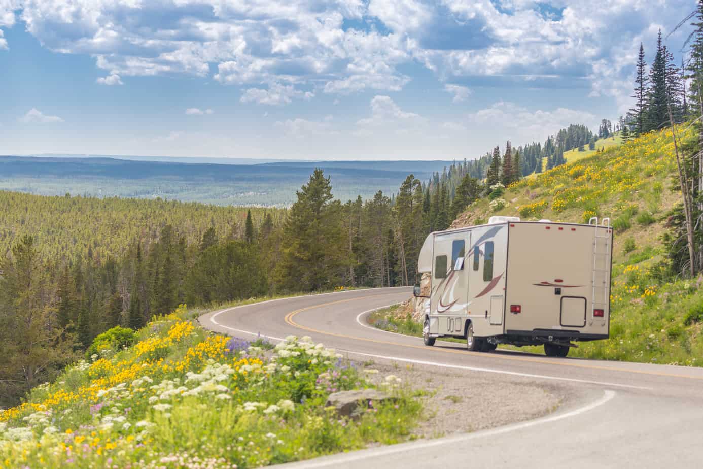 A camper drives on a winding road surrounded by greenery.