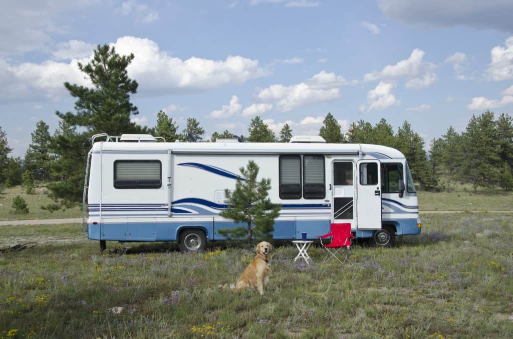 A dog sits in front of a white and blue camper. A red chair is sat next to a table in front of the camper. 