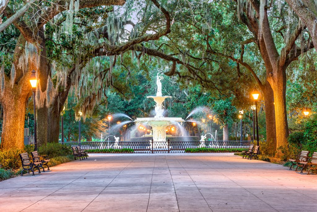 A clear walkway surrounded by thick trees leads to a fountain with water.