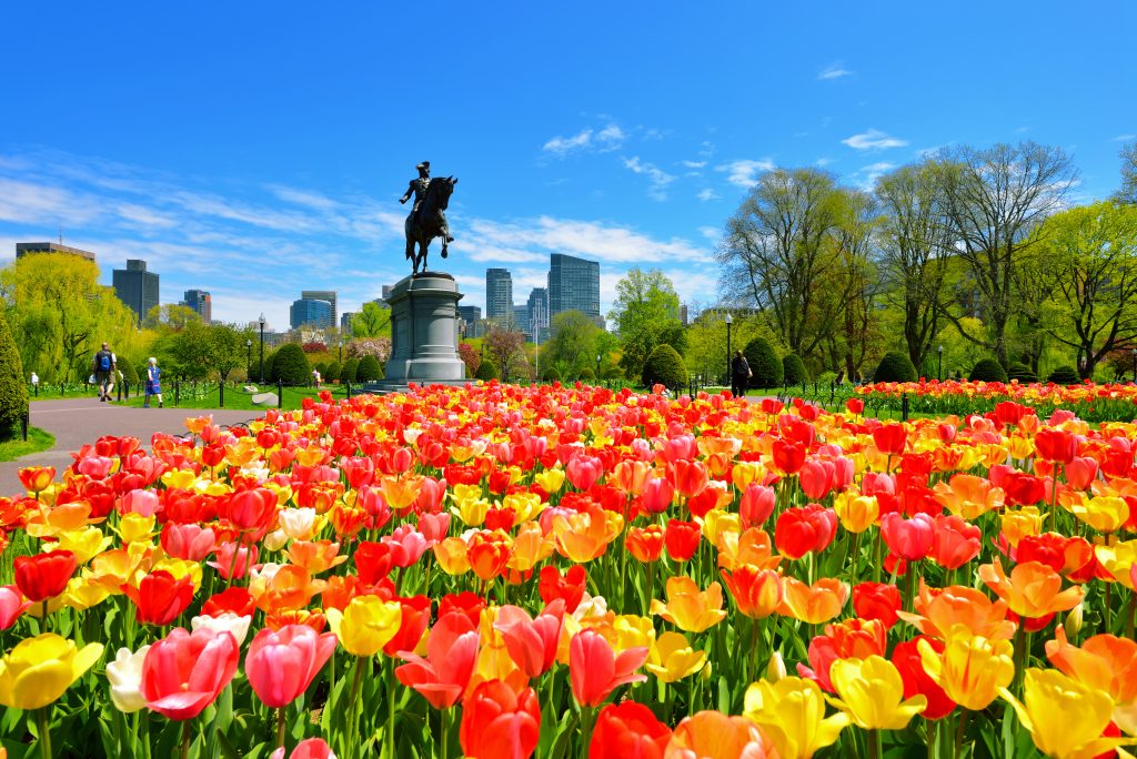 15 Romantic Things to Do in Boston (+ Where to Stay and Eat!)