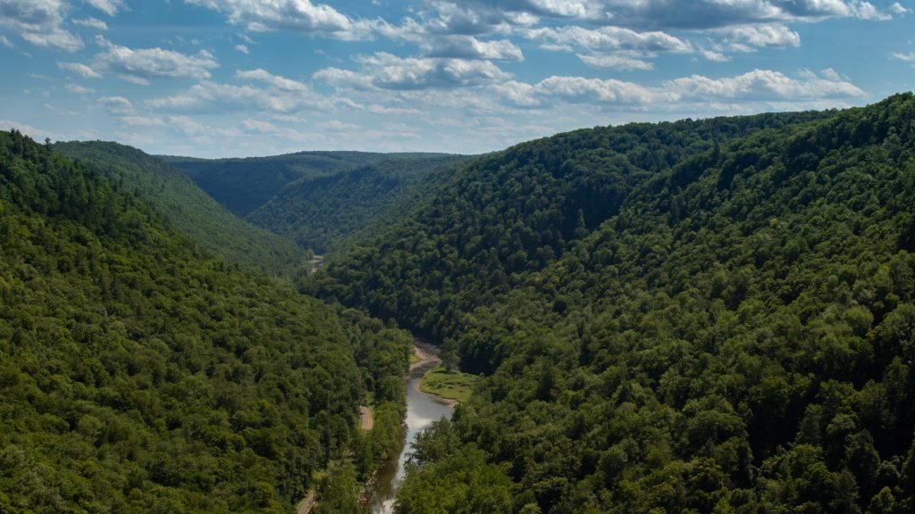A gorge runs through deep green hills under a blue sky.