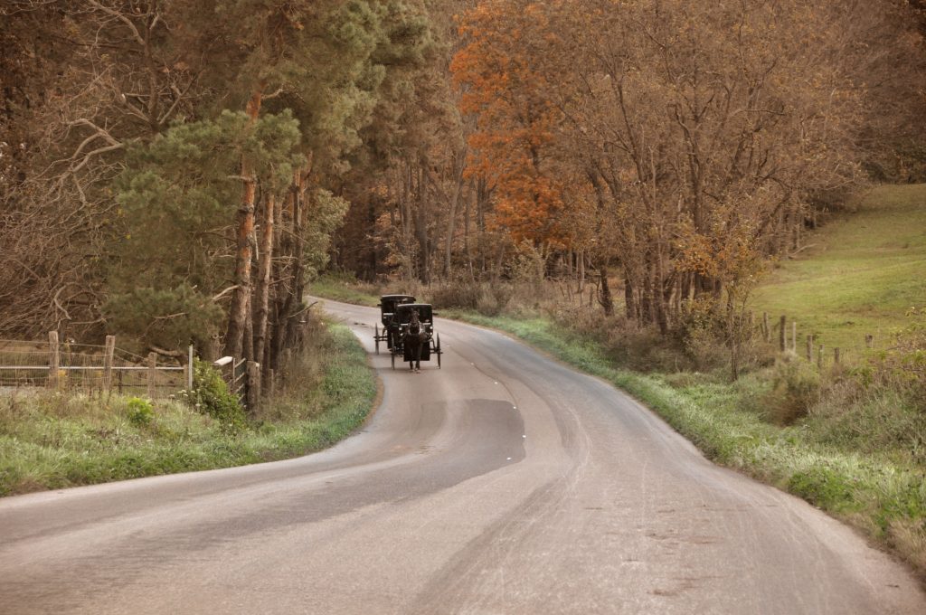 Amish buggies drive on a paved road in fall.
