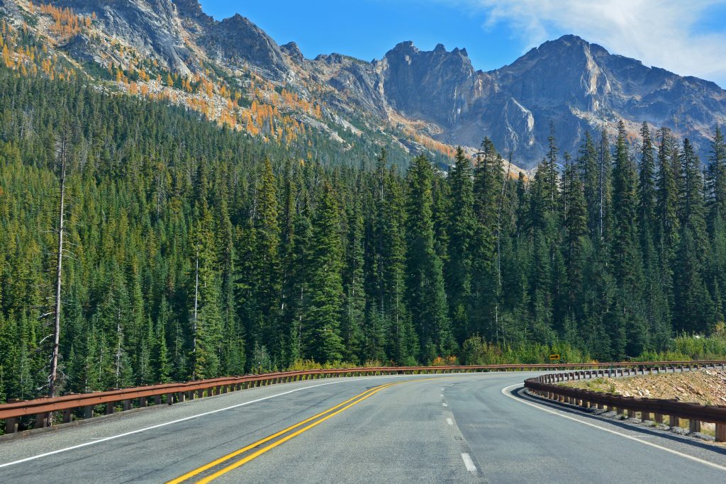 A clear road leads through a mountains landscape surrounded by tall trees.