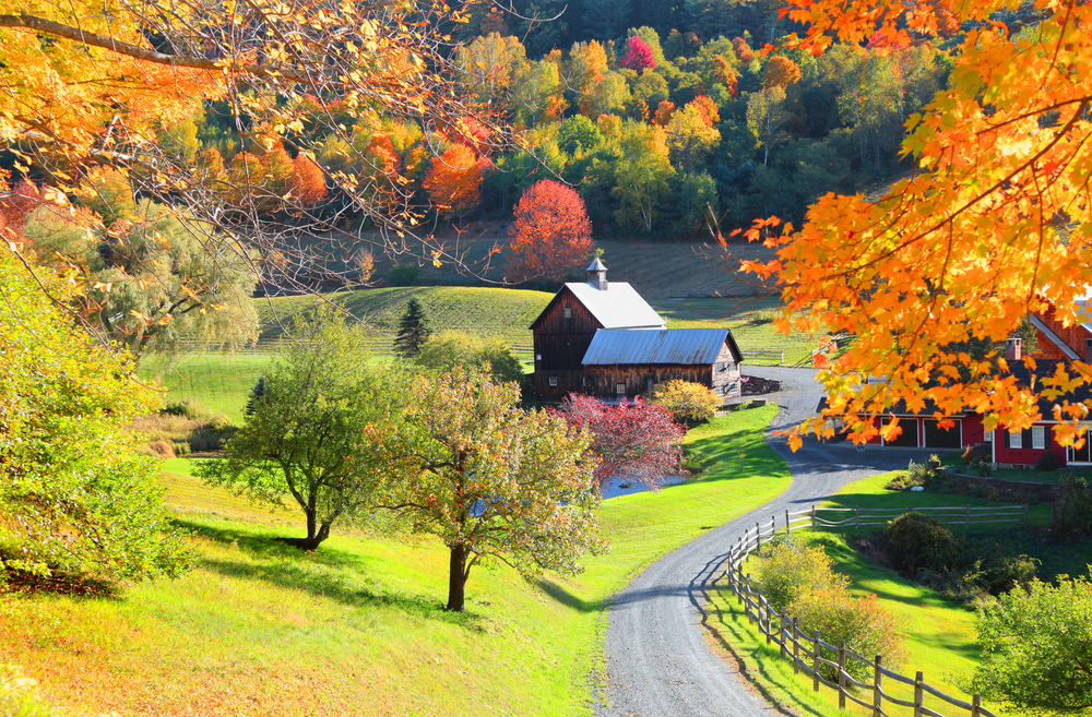 An empty road leads to a barn surrounded by trees.