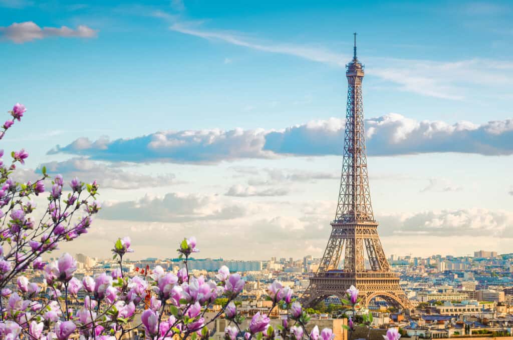 The Eiffel Tower is seen with flowers in the foreground and blue skies beyond