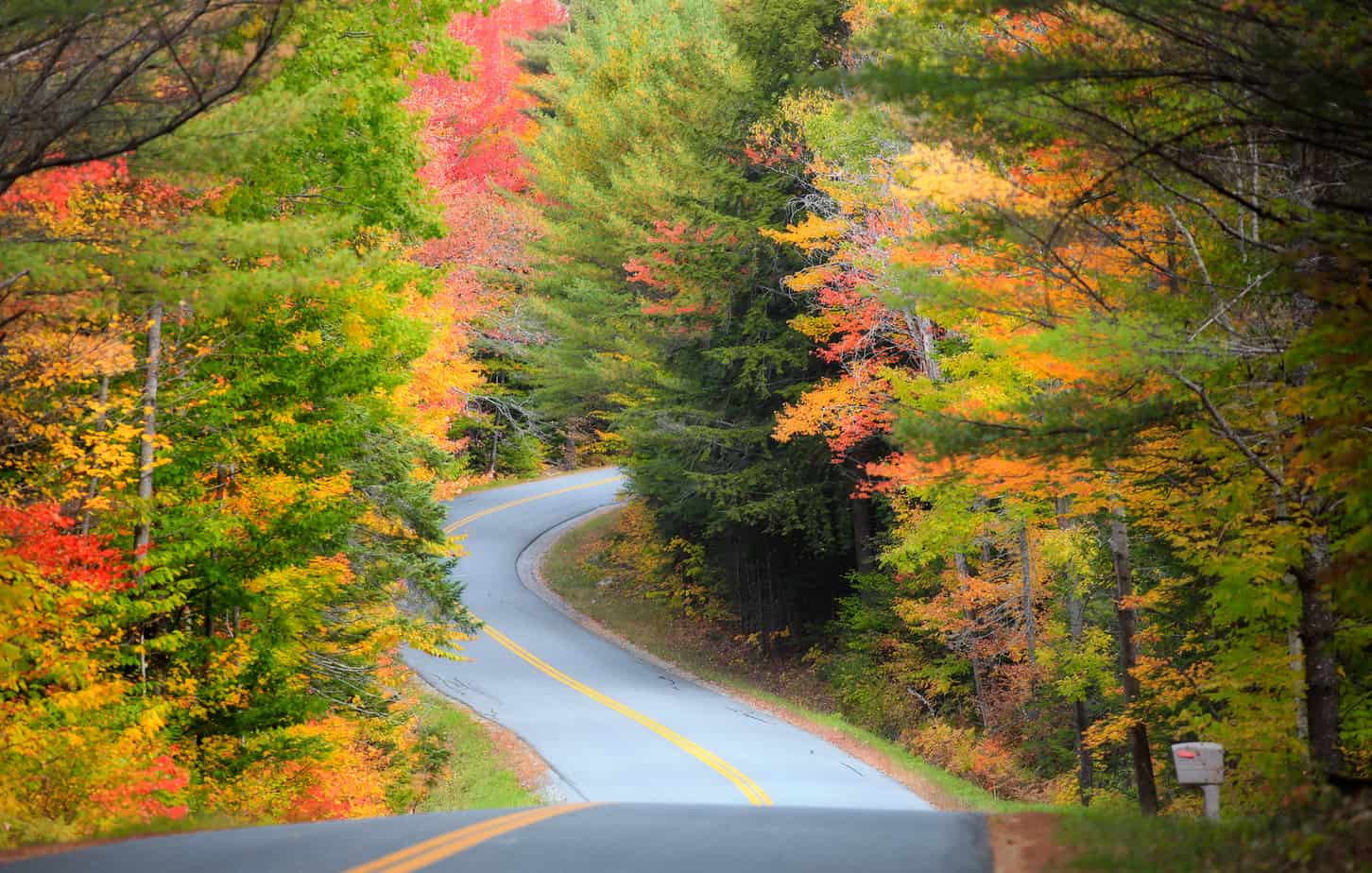 Top 10 Things to Do in Manchester Vermont