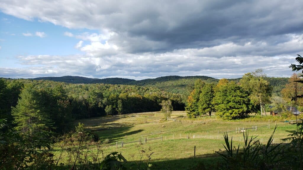 Empty green landscape with rolling hills.