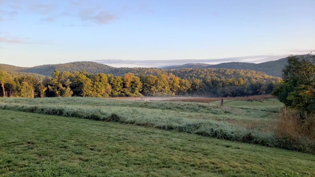 An empty field with trees and mountains in the distance.