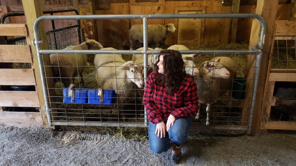 Girl crouched down by sheep in a barn. She\'s wearing jeans and a red and black flannel shirt.