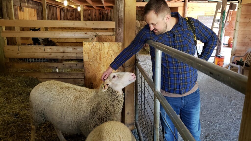 Man in a blue flannel shirt and jeans petting a goat in a barn.