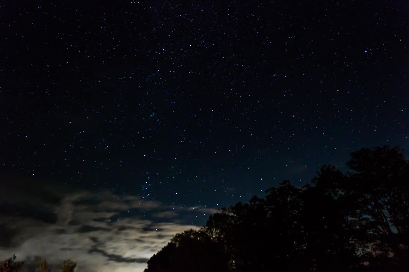 A starry sky at night with tree silhouettes.