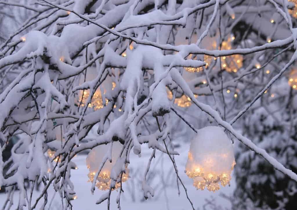 Close up of a lit up tree covered in snow.