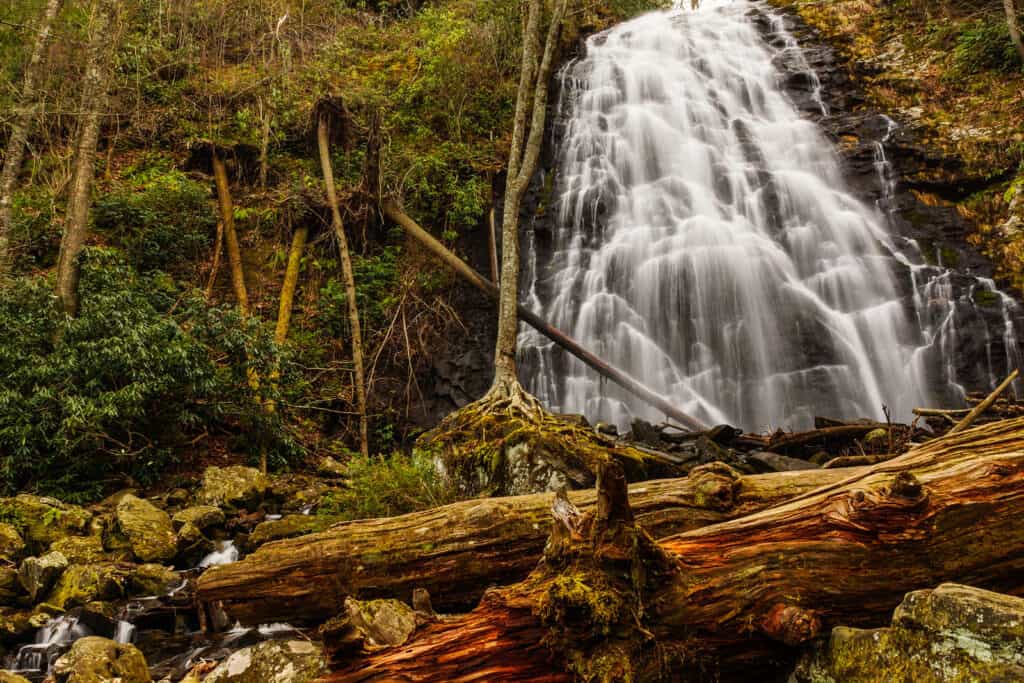 A waterfall falls down a rocky wall surrounded by forest.