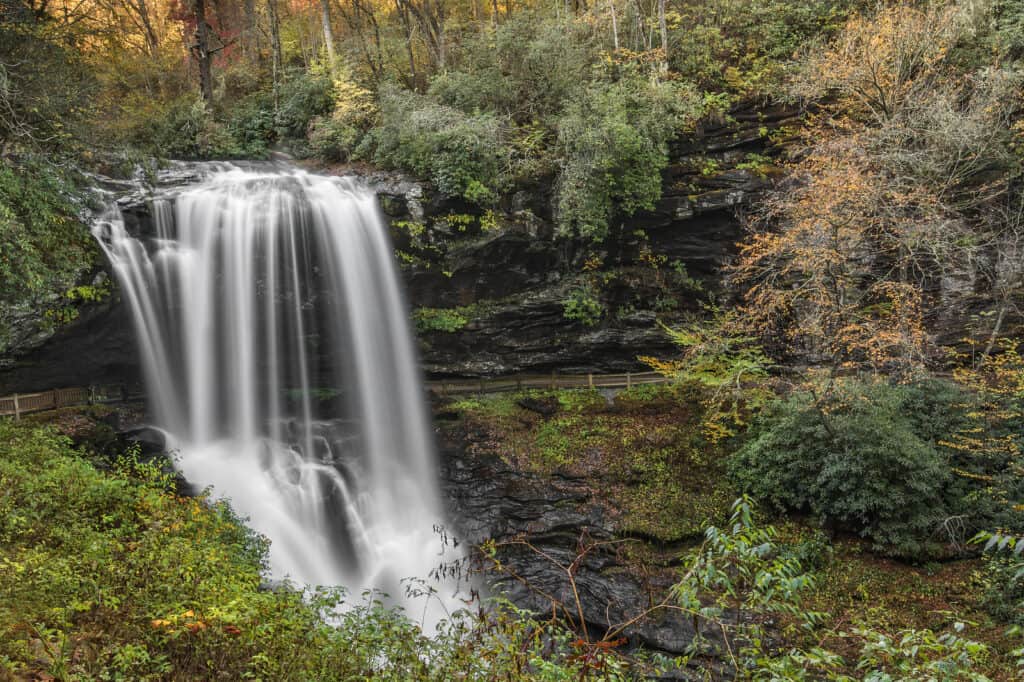 A waterfall rushes down a rocky wall in a forest.