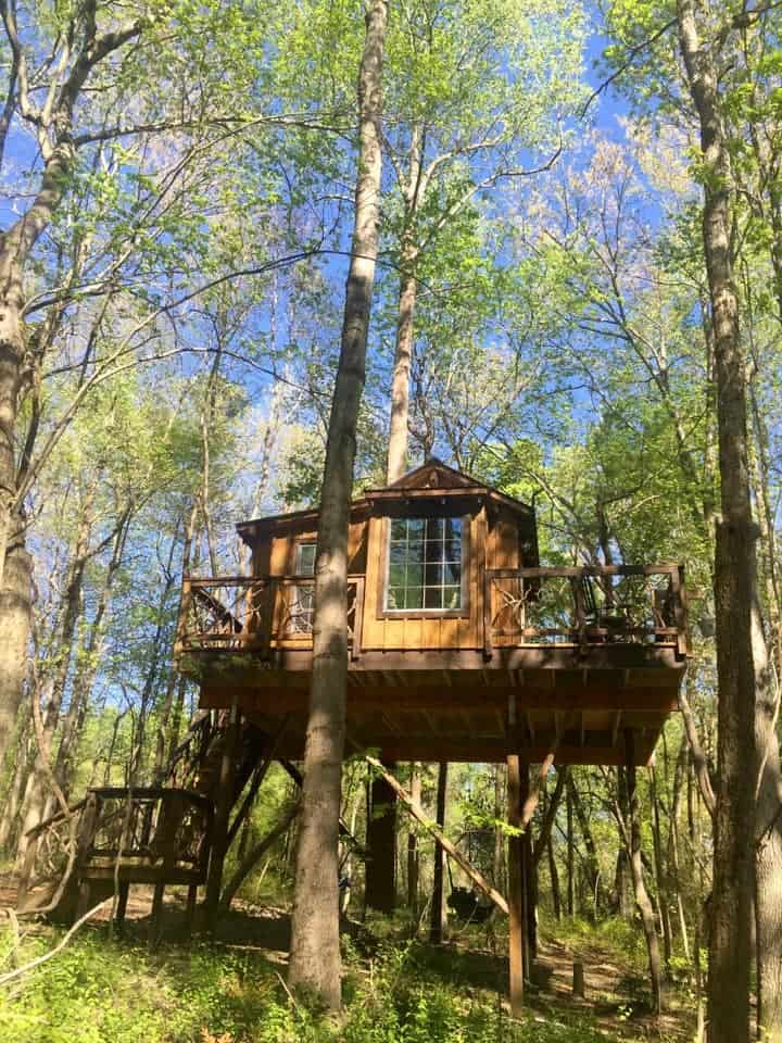 A treehouse in a forest under a blue sky.