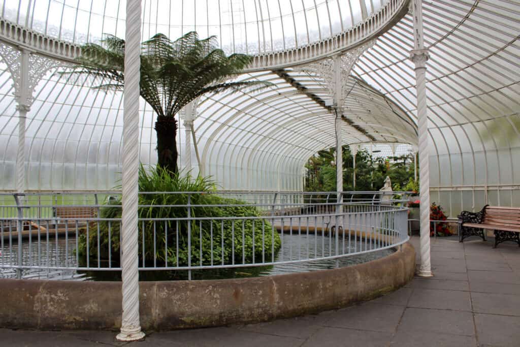 Interior of a greenhouse.