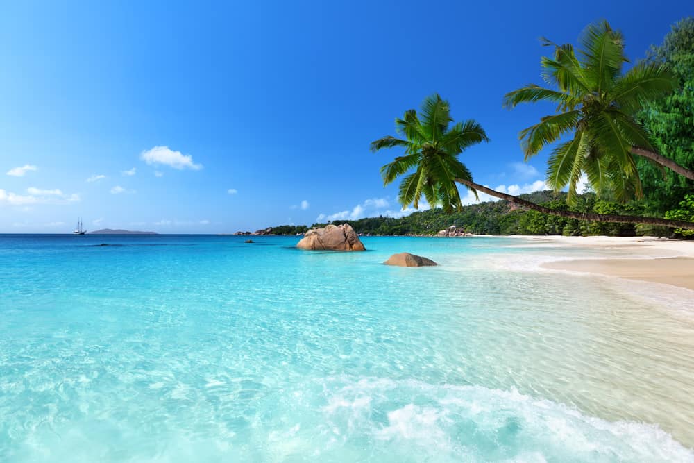 Beach with clear blue waters with large rocks scattered about near palm trees.