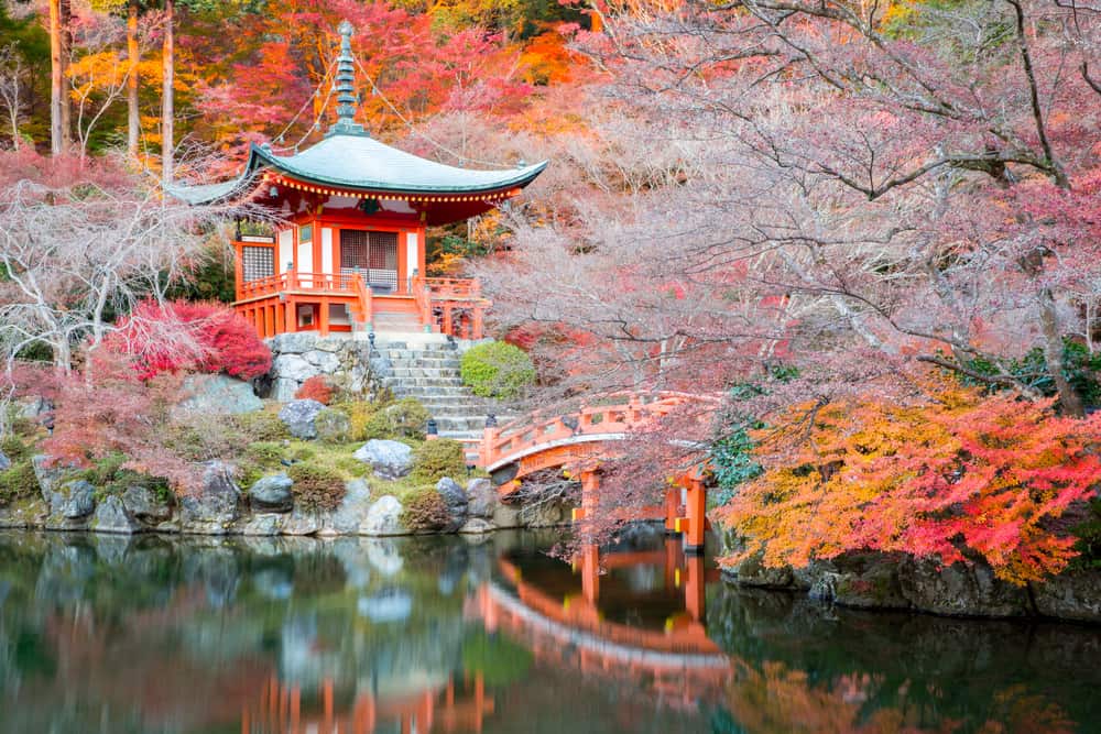 A botanical garden filled with a lake, small orange bridge, and trees that are orange.