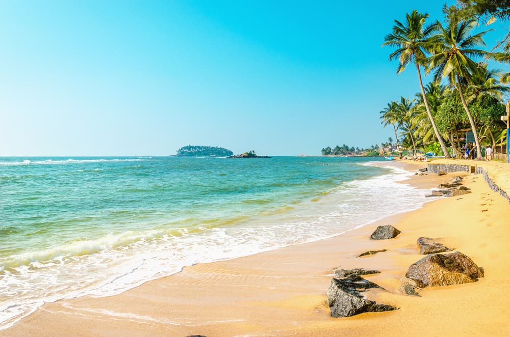 Beautiful exotic beach with golden sand and tall palm trees against the azure sea and blue sky
