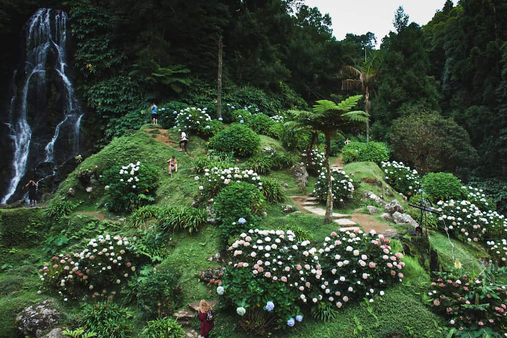 A lush green, flower filled mountainside by a waterfall in a romantic vacation spot