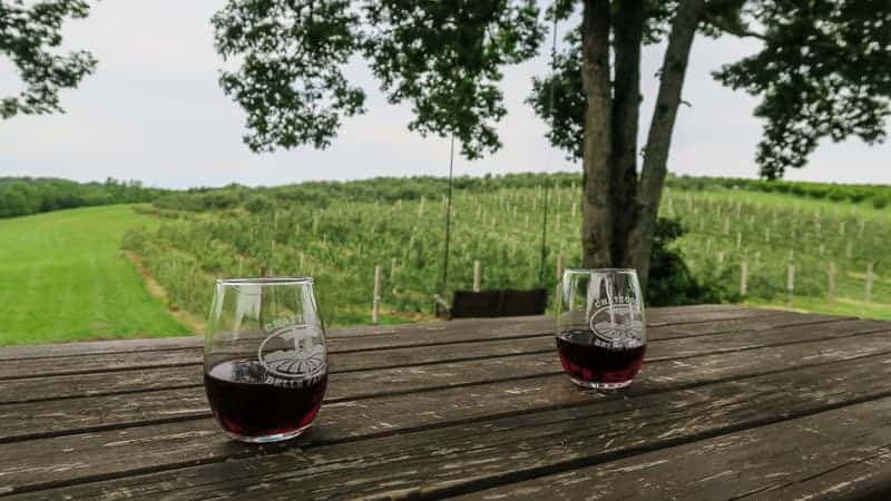 Two wine glasses sit on a wooden table at a vineyard.