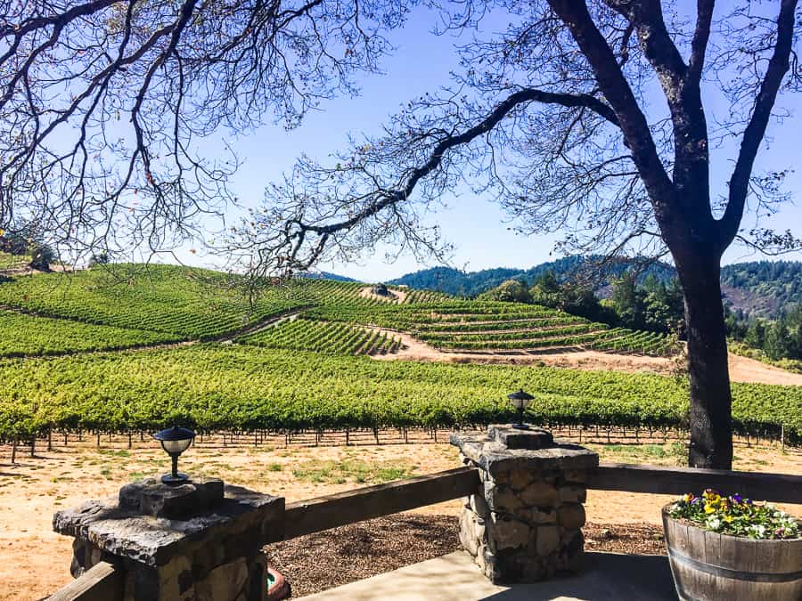 Empty vineyard with rolling hills in the background.