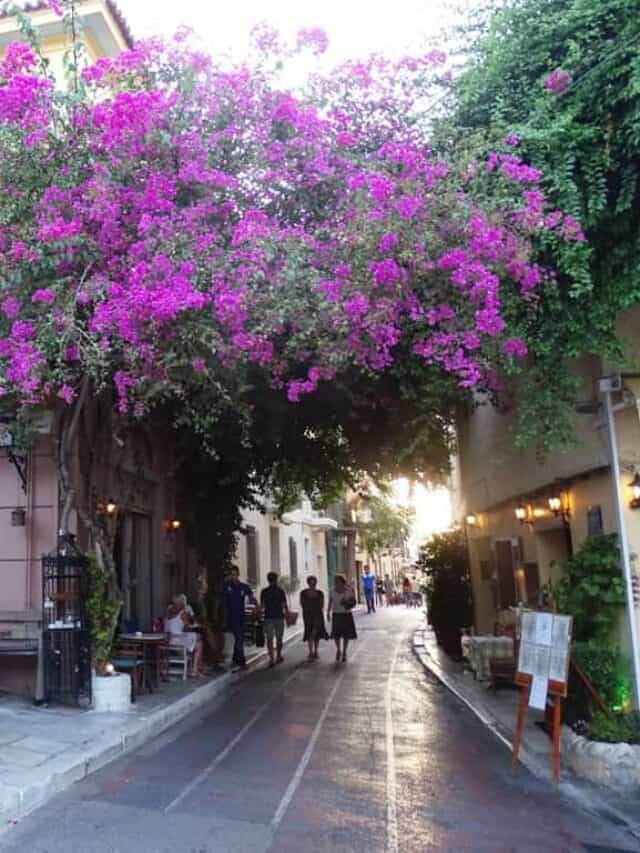 12 ROMANTIC THINGS TO DO IN ATHENS, GREECE