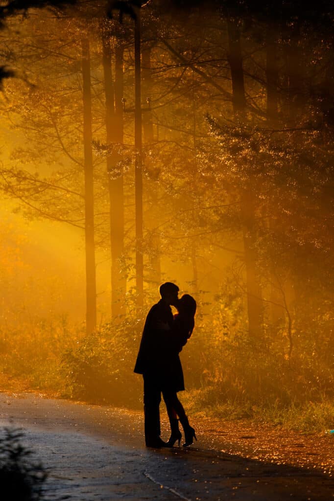 Silhouette of a couple kissing in a forest surrounded by an orange glow.