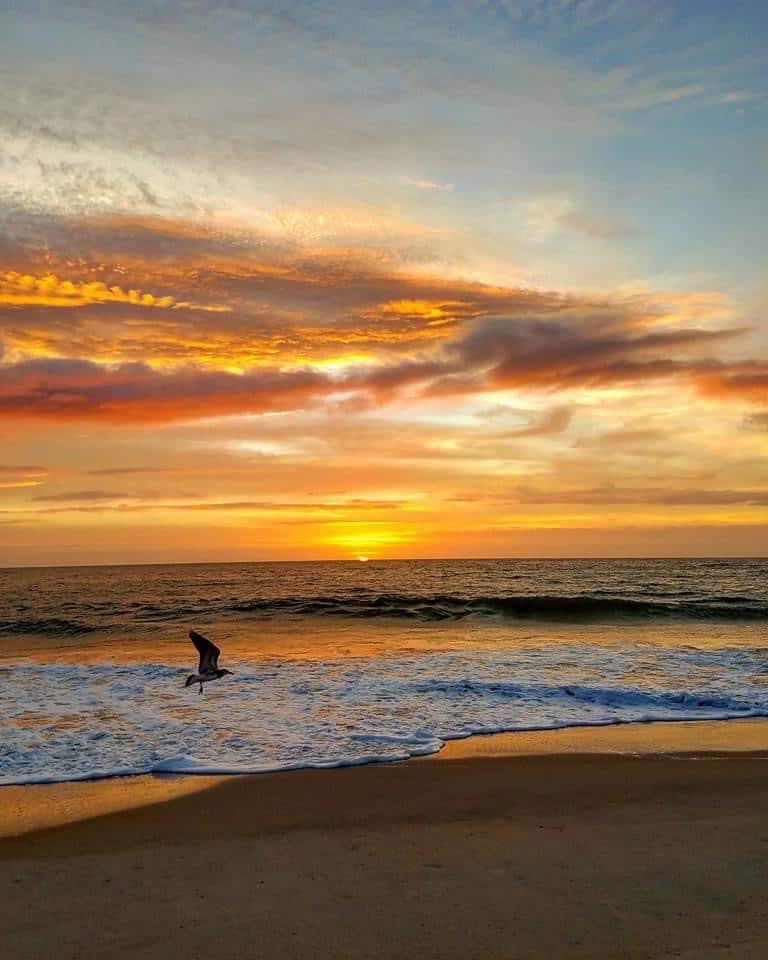 A bird flies over the ocean while the sun sets and casts an orange sky.