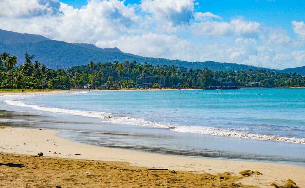 Waves crash against the beach. Behind the water is a mountain area with trees.