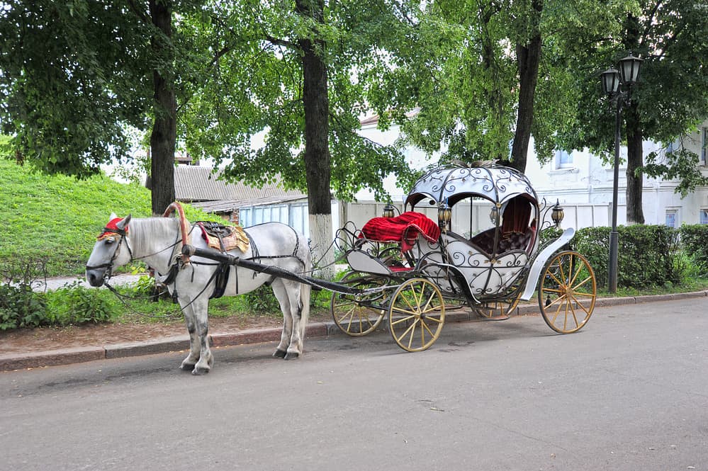 A horse drawn carriage surrounded by trees.