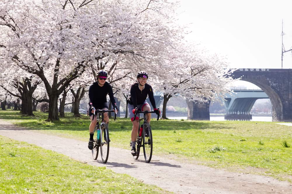 Two people ride a bike in a park surrounded by white flowers.