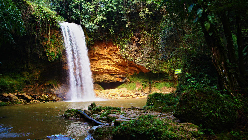 A tall waterfall rushes down into a body of water surrounded by forest.