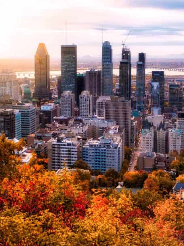 cropped-fall-sunrise-over-montreal-canada.jpg