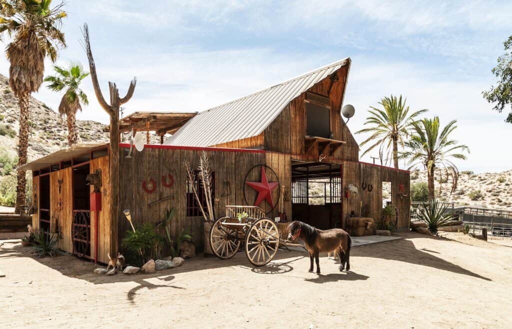 A donkey stands outside of a wooden wild west building by palm trees.