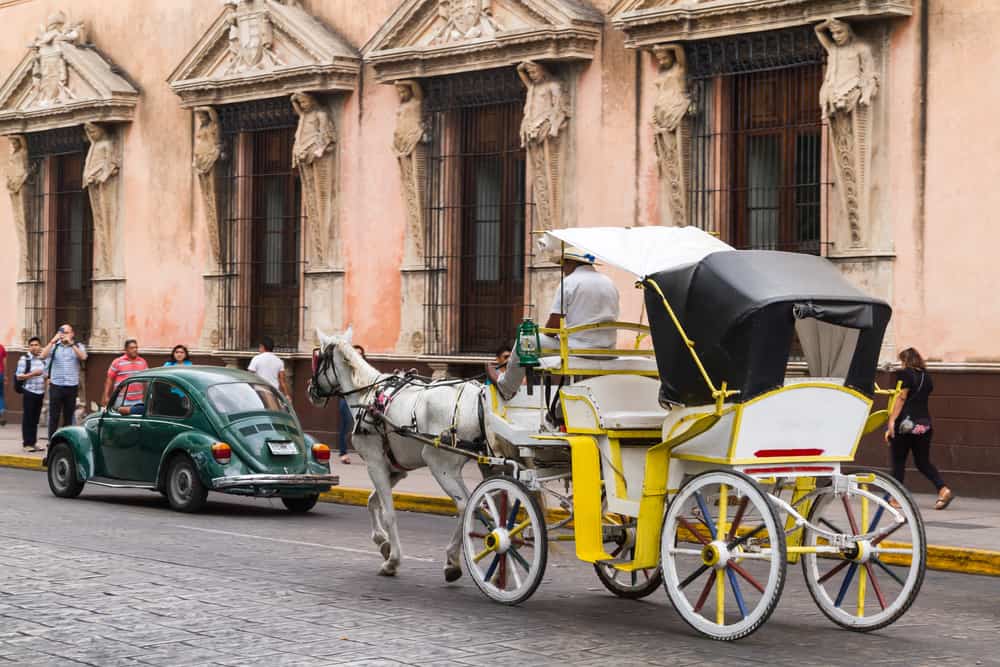 A horse pulls a yellow wagon with a man in it on the street.