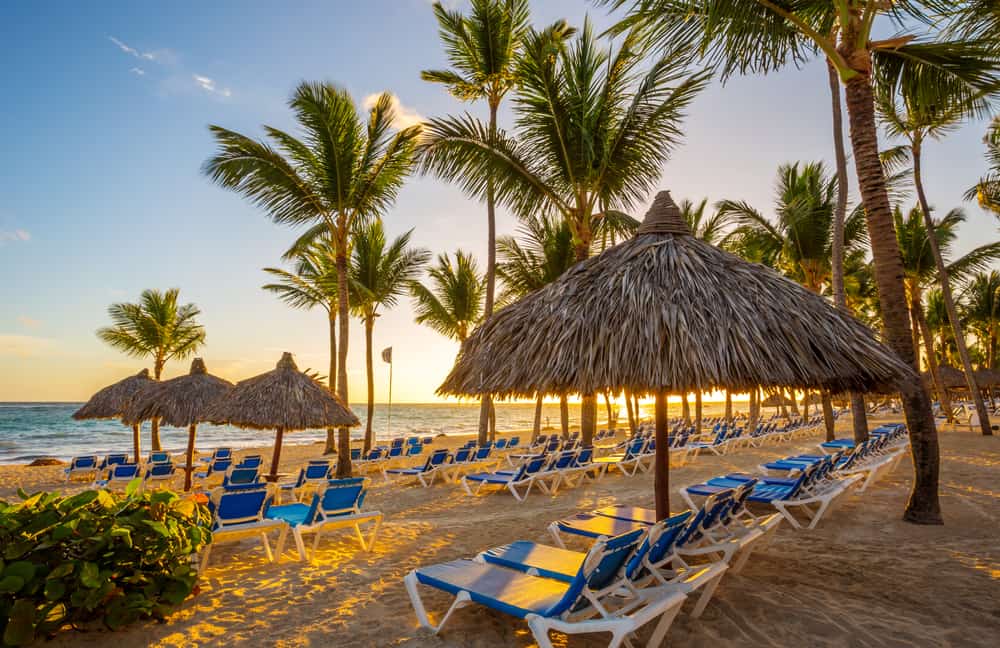 View of blue beach chairs under umbrellas on the beach near the water, surrounded by palm trees.