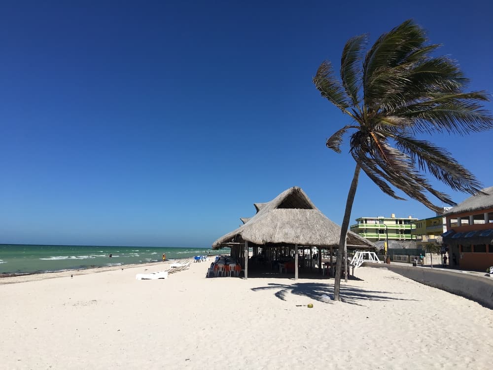 People relax on the beach next to a hut and palm trees.