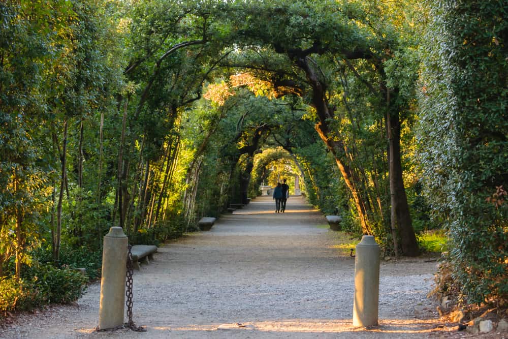 People walk down a charming lane lined with trees.