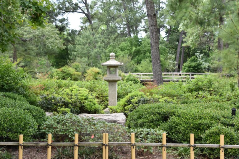 12 Romantic Things To Do In Houston For Couples