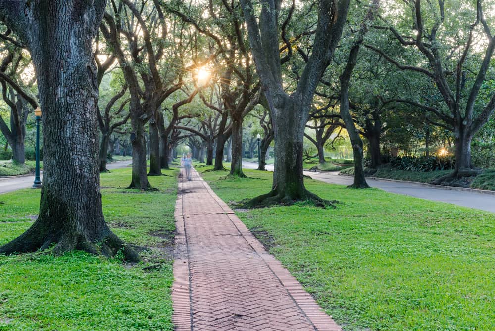 People walk on a path leading through a garden lined with trees.
