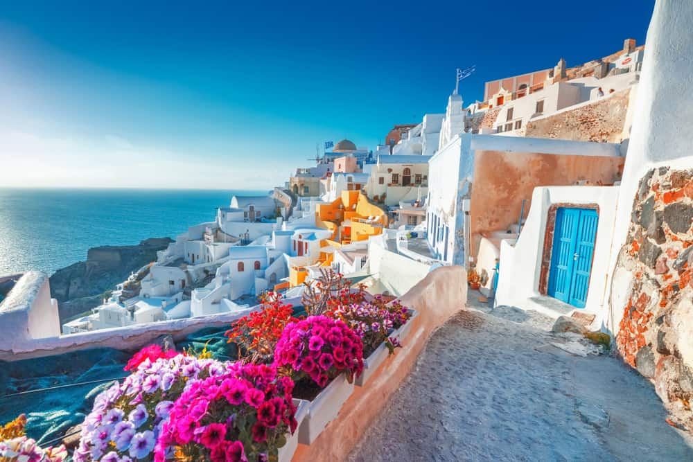 Sprawling white washed buildings of Santorini with bright pink flowers in the foreground and the deep blue sea in the distance 