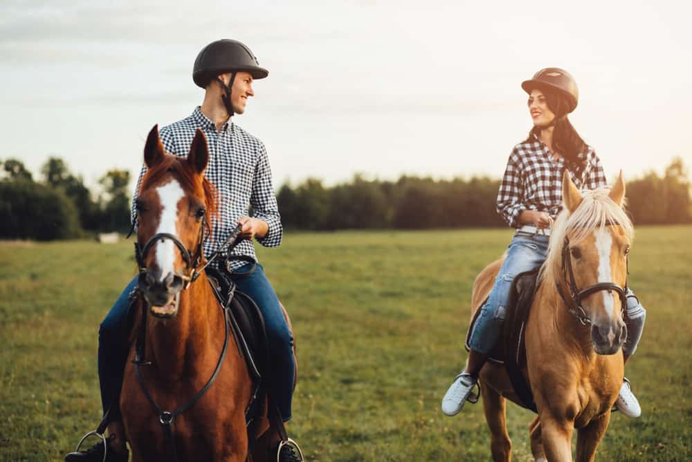 Couple smiling at each other on horseback with green grass underneath and evergreen trees in the background.