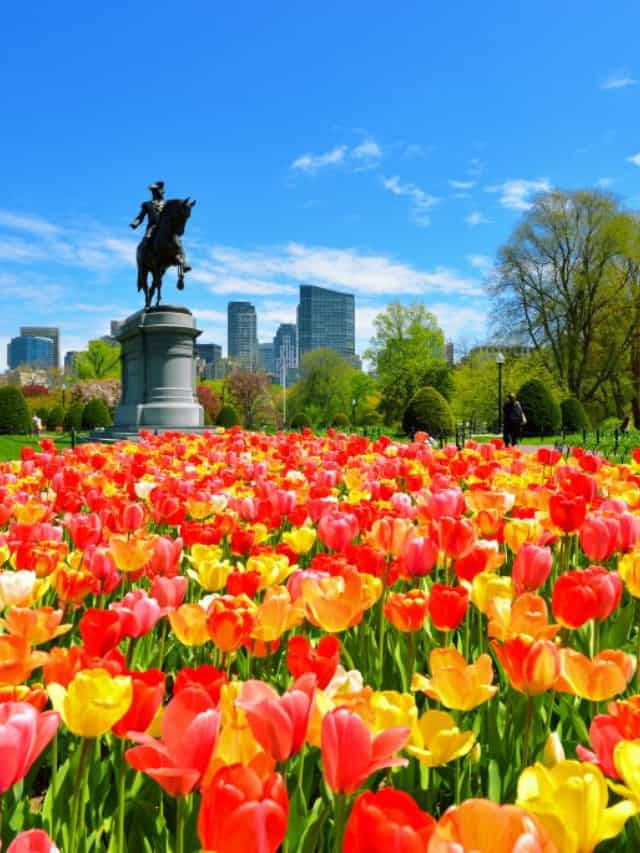 15 ROMANTIC THINGS TO DO IN BOSTON (+ WHERE TO STAY AND EAT!) STORY