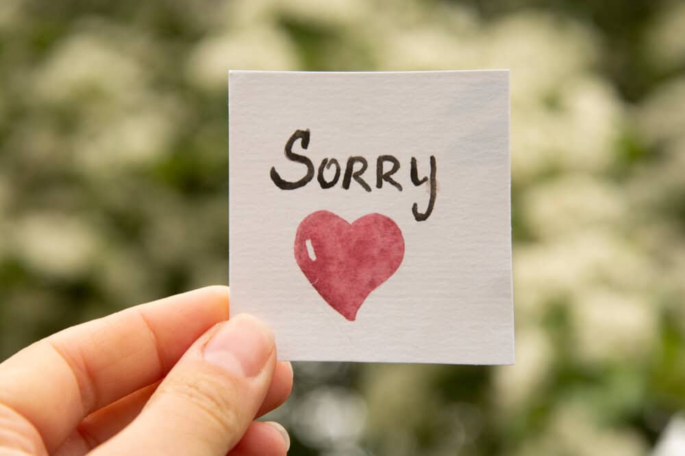 I M Really Sorry Meaning