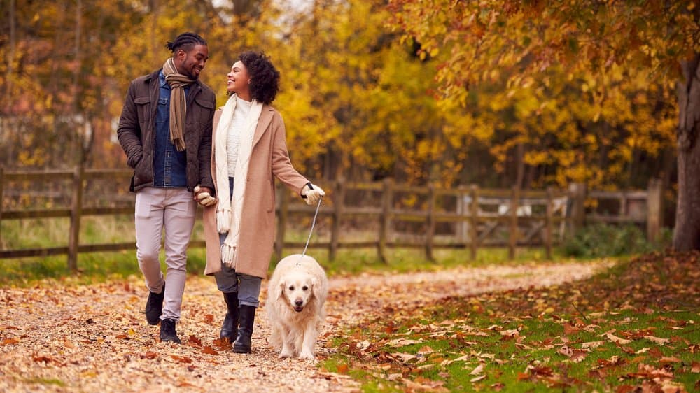 A couple walks their dog outdoors surrounded by fall foliage.